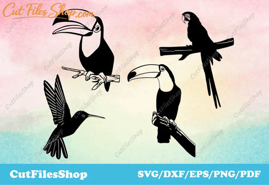 Birds svg cut files, toucan svg, parrot svg, dxf for plasma cutting, vector images - Cut Files Shop