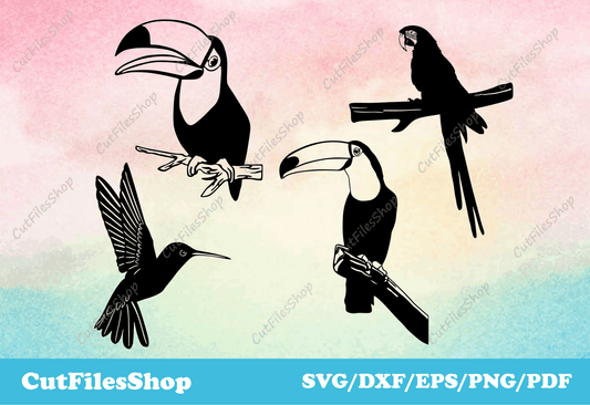 Birds svg cut files, toucan svg, parrot svg, dxf for plasma cutting, vector images - Cut Files Shop