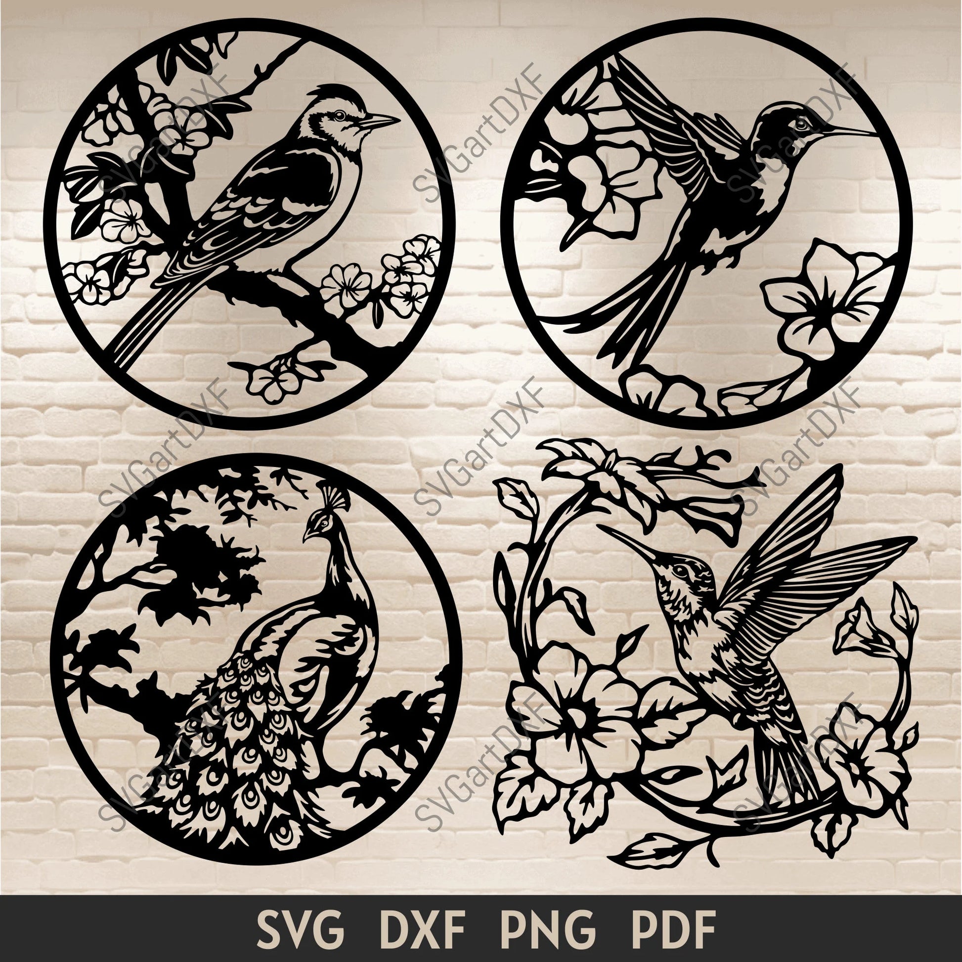 Floral bird SVG bundle featuring hummingbirds, a peacock and a woodpecker in four decorative cut-file designs.