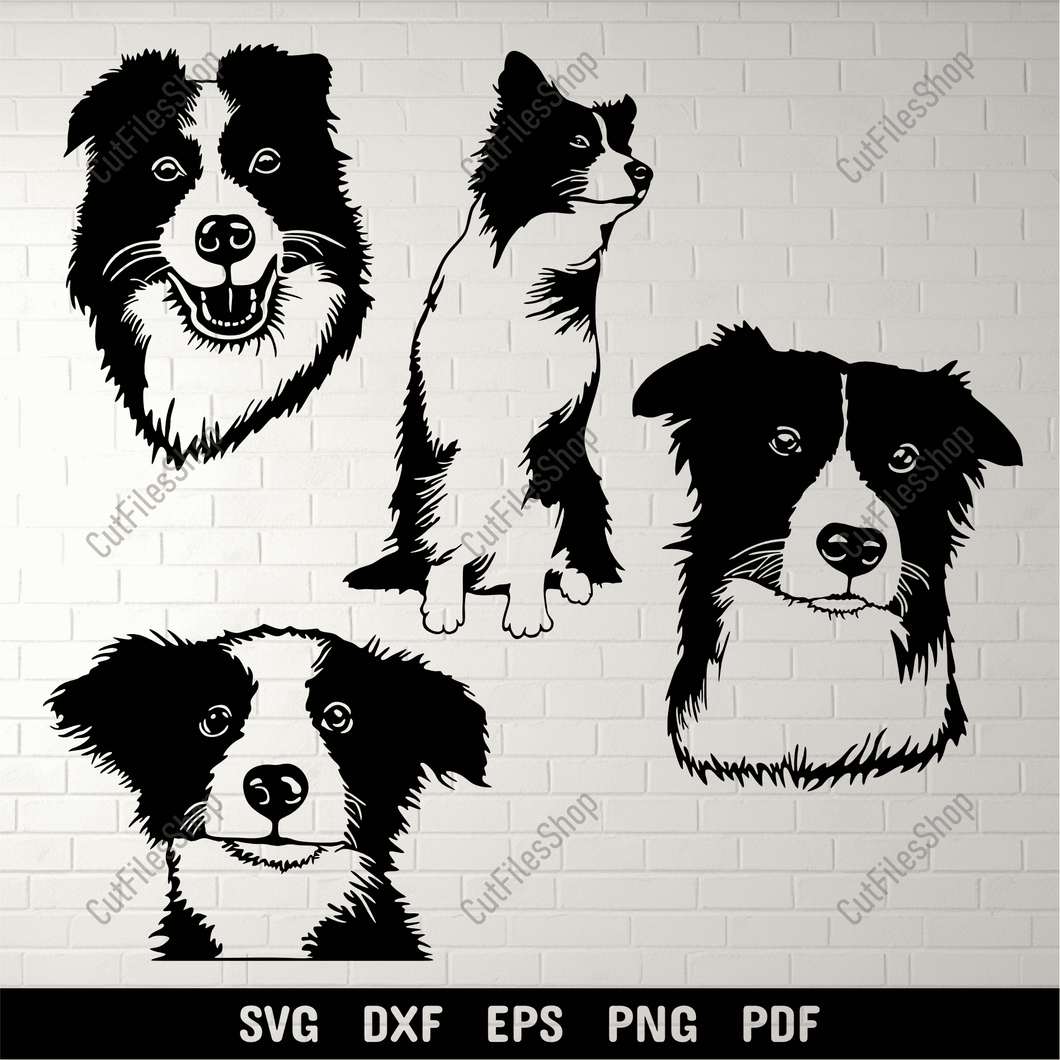 Border Collie SVG for Cricut & Silhouette – DXF for CNC & Sublimation