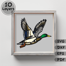 Load image into Gallery viewer, Mallard Layered SVG 3D Shadow Box, Papercut Template, Laser Cut DXF, Home Decor Art, Unique Gift Craft Project, Svg for Cricut, Silhouette
