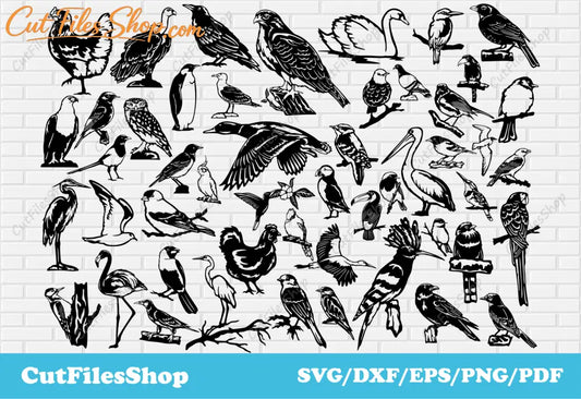 Birds svg cut files for cricut, Dxf birds for laser cutting, tshirt vector, Digital printing, heat pressing, laser engraving - Cut Files Shop