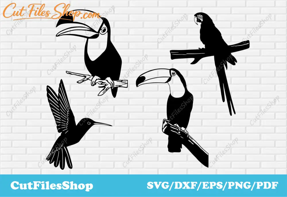 Birds svg cut files, toucan svg, parrot svg, dxf for plasma cutting, vector images - Cut Files Shop