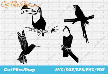 Birds svg cut files, toucan svg, parrot svg, dxf for plasma cutting, vector images - Cut Files Shop