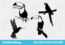 Load image into Gallery viewer, Birds svg cut files, toucan svg, parrot svg, dxf for plasma cutting, vector images - Cut Files Shop
