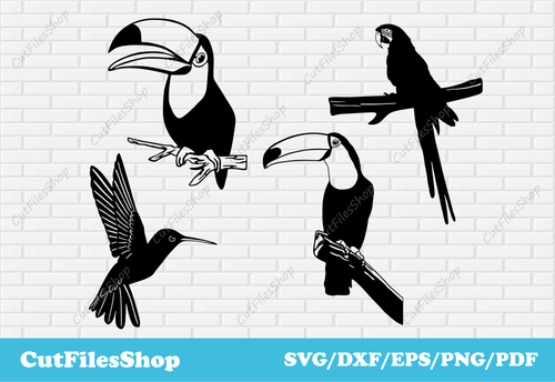 Birds svg cut files, toucan svg, parrot svg, dxf for plasma cutting, vector images - Cut Files Shop