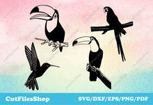 Load image into Gallery viewer, Birds svg cut files, toucan svg, parrot svg, dxf for plasma cutting, vector images - Cut Files Shop
