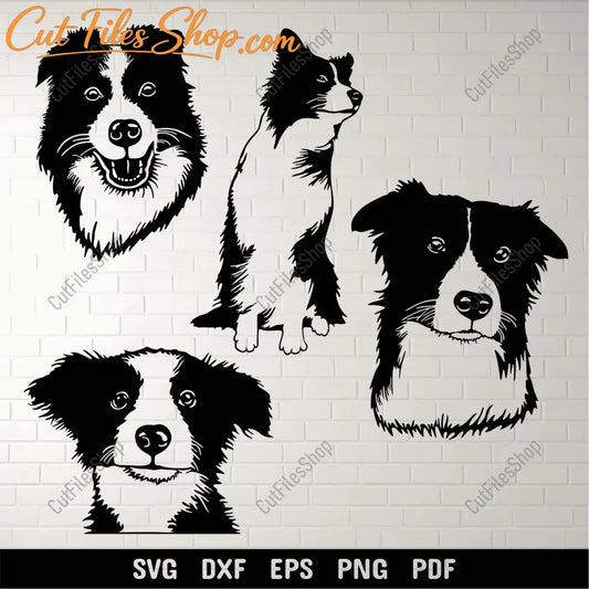Border Collie SVG for Cricut & Silhouette – DXF for CNC & Sublimation