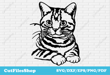 Load image into Gallery viewer, Cat svg download, animal svg files for cricut, pet svg files, dxf animals for laser cut - Cut Files Shop
