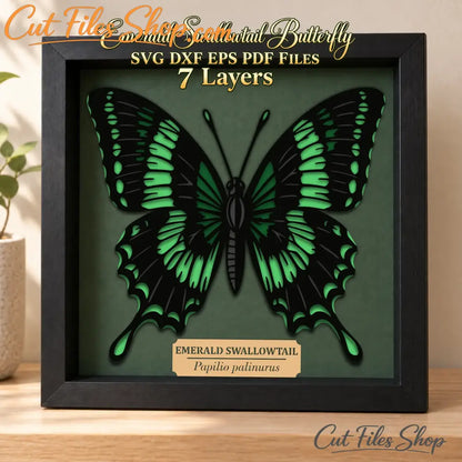 Layered green and black Emerald Swallowtail butterfly shadow box wall art