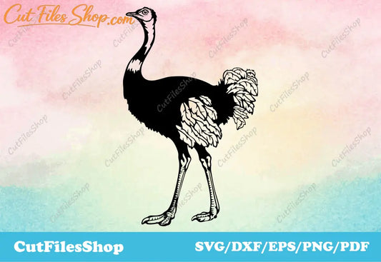 Ostrich svg cut files for laser, farm birds svg download, Vector farm bird silhouette, Collection farm birds svg cut files for cnc laser, svg download online, dxf files for plasma cutting, Svg for Silhouette Cameo & Cricut