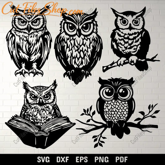 Download your favorite Owl SVG cut files today and create stunning crafts.