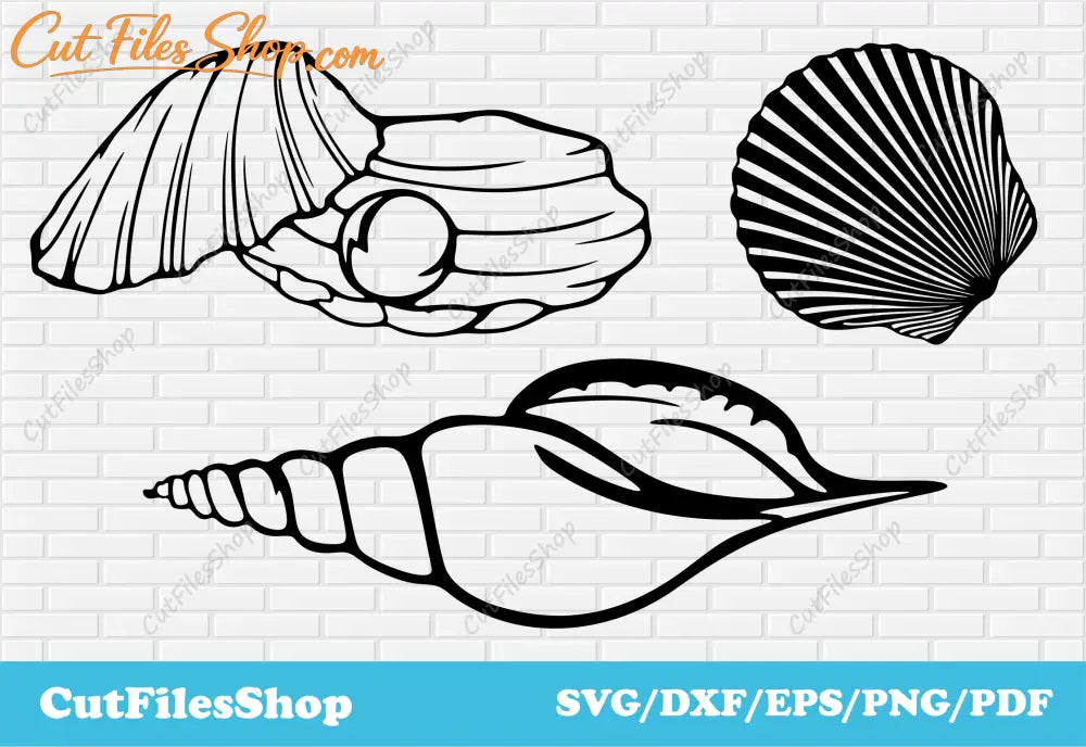 Sea shells svg images, dxf images for laser cut, svg cut files for cricut, cut files shop, svg images