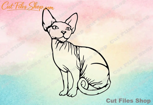 Sphynx cat svg, cat for cricut, cat cut file, digital illustration, svg illustration, cut files