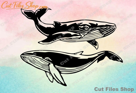 Whale cut files, svg for cricut, svg cutting files, dxf for laser, silhouette cut file, free svg