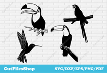 Load image into Gallery viewer, Birds svg cut files, toucan svg, parrot svg, dxf for plasma cutting, vector images, birds png, birds for cricut, cutting files, download svg, free vector, free dxf files, free svg for download
