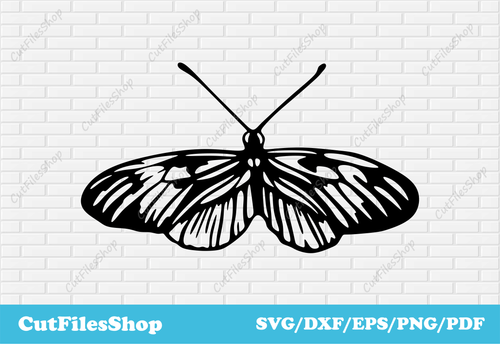 Butterfly svg cut file for cricut, DXF butterfly for laser cutting, t-shirt designs, silhouette cameo files, Butterfly vector, Butterfly t-shirt designs, Butterfly art, Butterfly for cricut