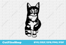 Load image into Gallery viewer, Cat svg for cricut, Cat decor making, Dxf for laser cut, Vinyl cutting, Stickers making, pets for cricut, cat svg free download, cute cat vector, cat for shirts, T-shirts designs, cat dxf
