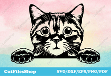 Load image into Gallery viewer, Peeking cat svg for cricut, cute pets for laser cutting, t-shirt graphics, Svg for vinyl cutting
