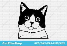Load image into Gallery viewer, Cat dxf file, svg files for crafting, cute svg images, png for sublimation, dxf for laser cut, t-shirt svg designs, pets svg files, pets for cricut, cat svg sticker
