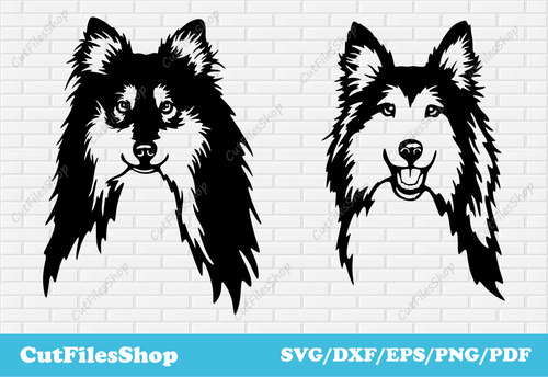 Collie Dogs SVG for shirts designs, Cricut cut files, Pets portrait svg dxf, Collie svg for cricut, pets for cricut, craft svg files, dogs gifts svg, collie svg, sublimation print, cute pets svg, cricut designs svg, cheap svg, laser cut designs