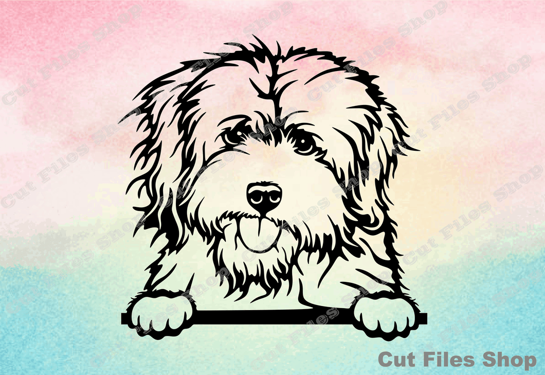 Coton de Tulear, peeking dog svg, dog for cricut, dog silhouette, cutout files, custom designs