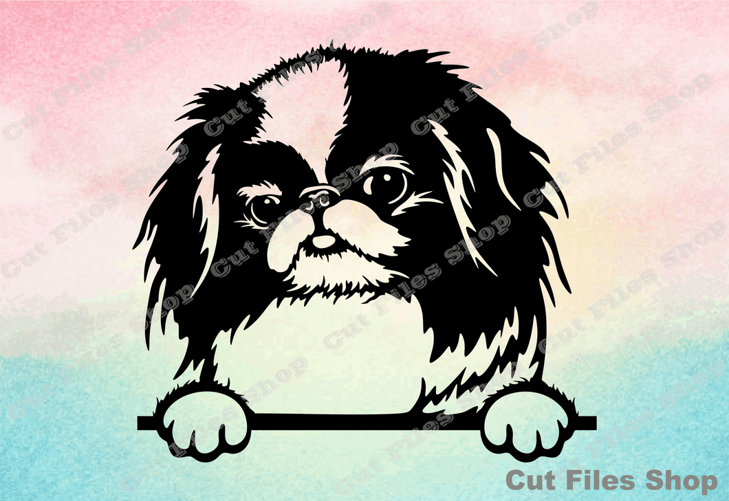Japanese Chin, custom portrait, portrait from photo, pet drawing, pet art, custom vector file