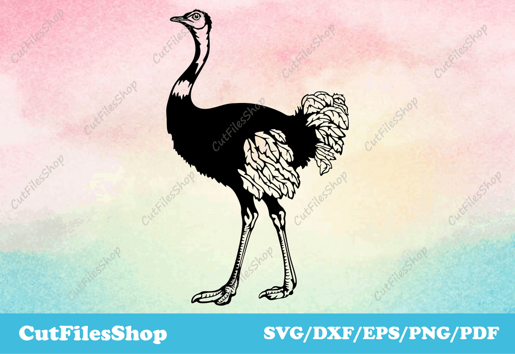 Ostrich svg cut files for laser, farm birds svg download, Vector farm bird silhouette, Collection farm birds svg cut files for cnc laser, svg download online, dxf files for plasma cutting, Svg for Silhouette Cameo & Cricut