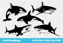 Load image into Gallery viewer, Vector DXF free download, laser cutting dxf free download, Sharks svg files, orca svg, fish svg files, cricut designs svg, printtable t-shirt svg, dxf cutting files, vector designs for shirts
