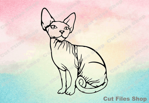 Sphynx cat svg, cat for cricut, cat cut file, digital illustration, svg illustration, cut files