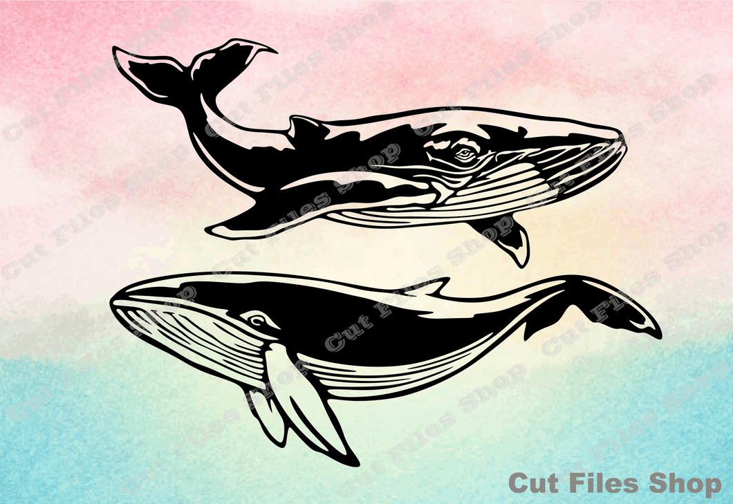 Whale cut files, svg for cricut, svg cutting files, dxf for laser, silhouette cut file, free svg